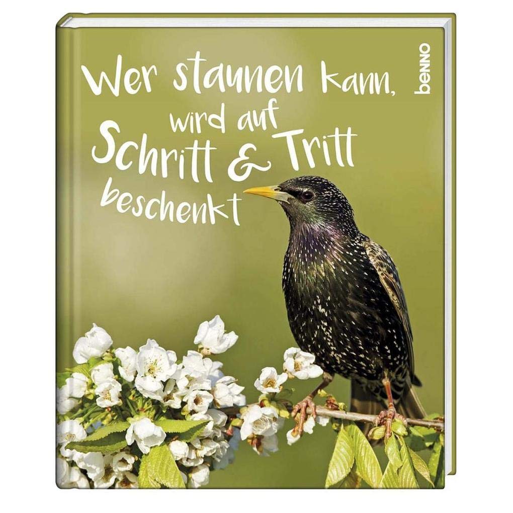 Geschenkbuch »Wer staunen kann, wird auf Schritt & Tritt beschenkt« Contemporary literature