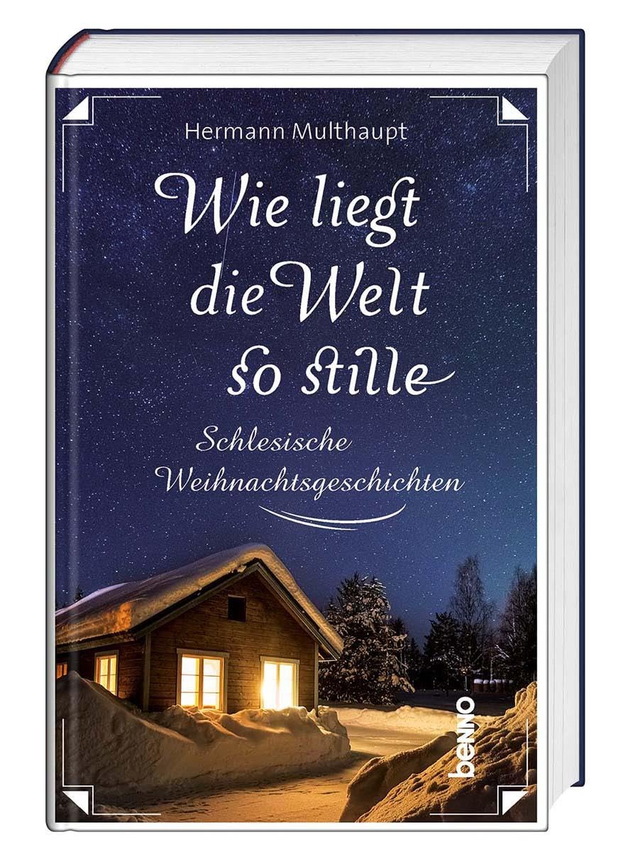 Wie liegt die Welt so stille Contemporary literature