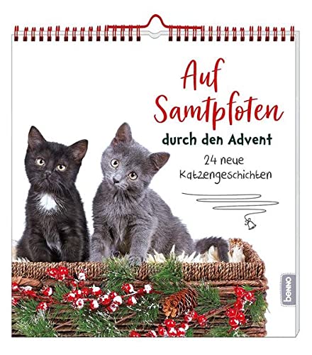 Auf Samtpfoten durch den Advent: 24 neue Katzengeschichten Essays & Short Stories