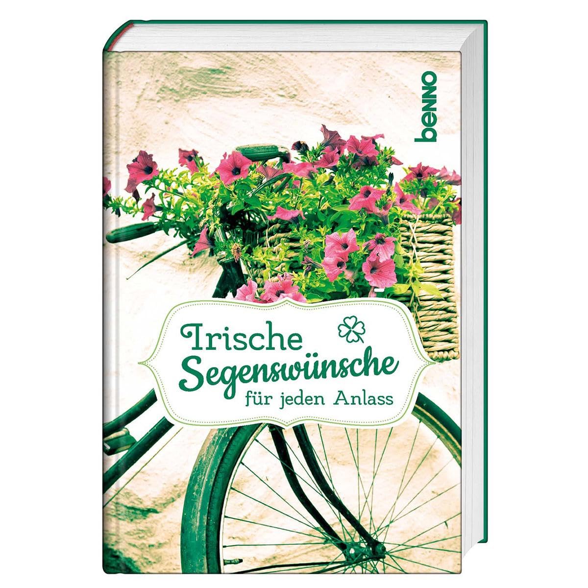 Irische Segenswünsche für jeden Anlass: Ungekürzte Ausgabe Poetry