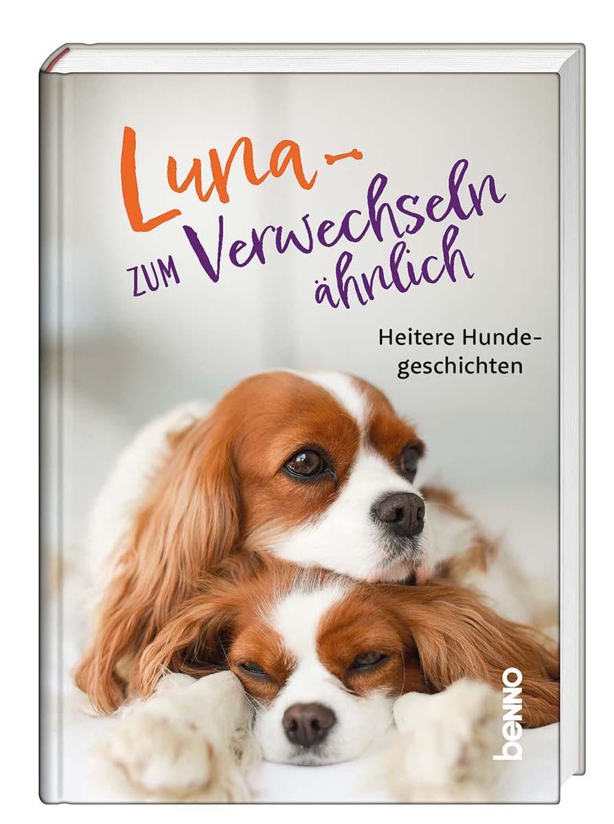 Luna – zum Verwechseln ähnlich: Heitere Hundegeschichten Contemporary literature