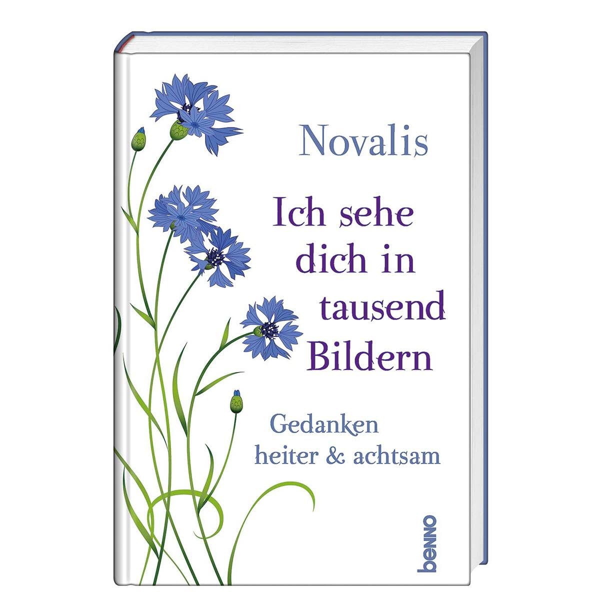 Product Image: Ich sehe dich in tausend Bildern