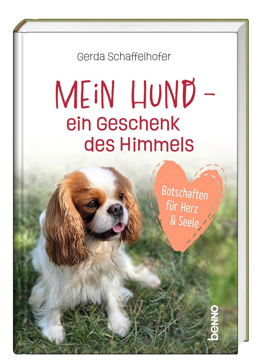 Mein Hund - ein Geschenk des Himmels Contemporary literature