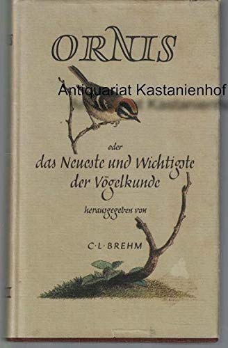 Der Steinmetz Umfassend: Die Gewinnung und Bearbeitung natürlicher Bausteine Books