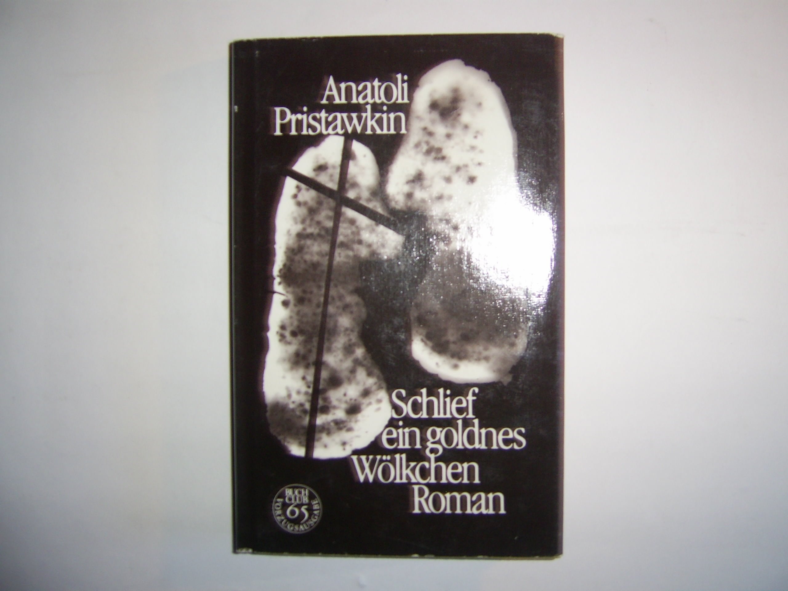 Schlief ein goldnes Wölkchen. Roman (Buchclub 65) Books