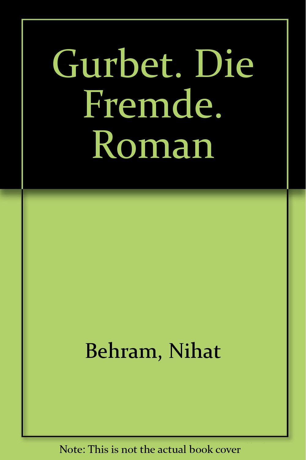 Gurbet. Die Fremde: Roman (Aufbau Taschenbücher) Books