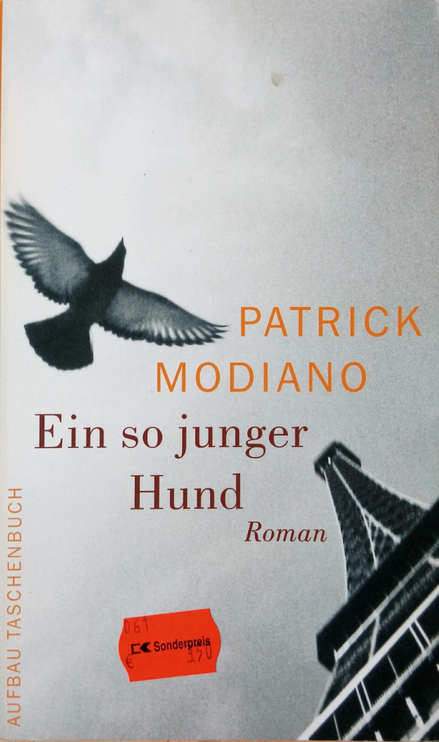 Ein so junger Hund: Roman (Aufbau Taschenbücher) Contemporary literature