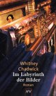 Im Labyrinth der Bilder Crime & Thrillers