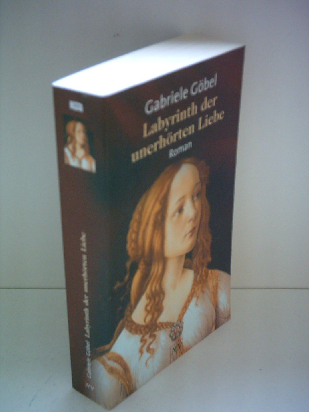 Labyrinth der unerhörten Liebe. Roman Contemporary literature