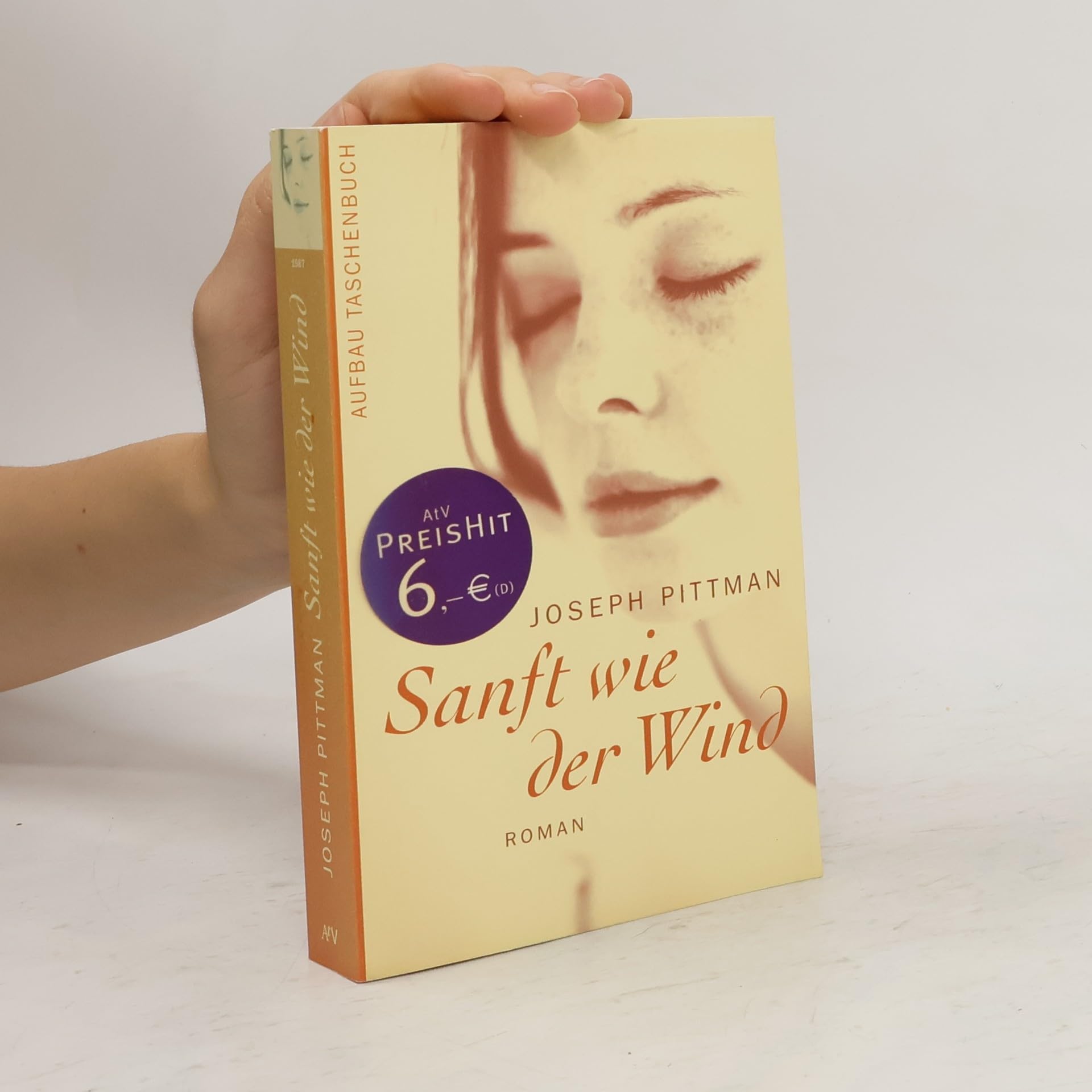 Sanft wie der Wind. Roman Contemporary literature Books