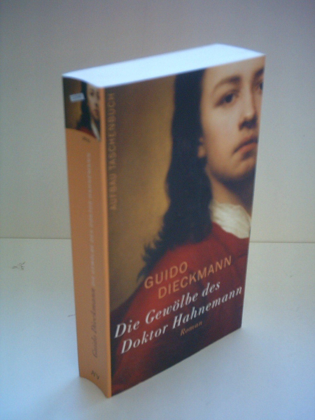 Die Gewölbe des Doktor Hahnemann: Roman Books