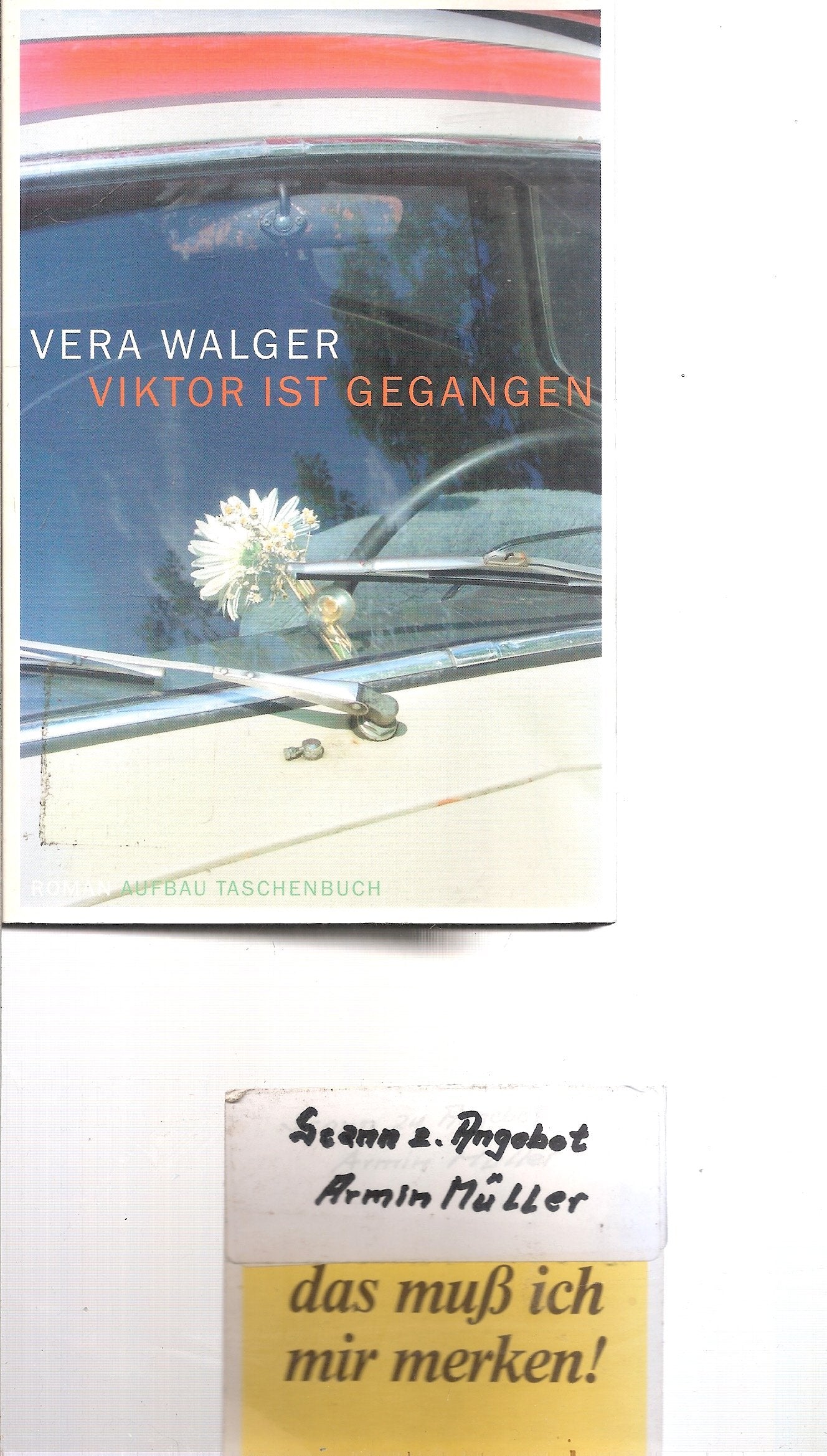 Viktor ist gegangen. Roman Books