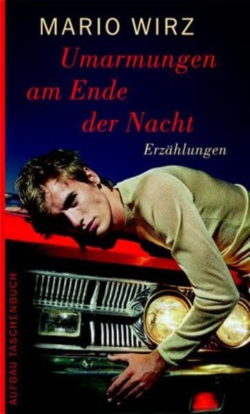 Umarmungen am Ende der Nacht: Erzählungen Essays & Short Stories