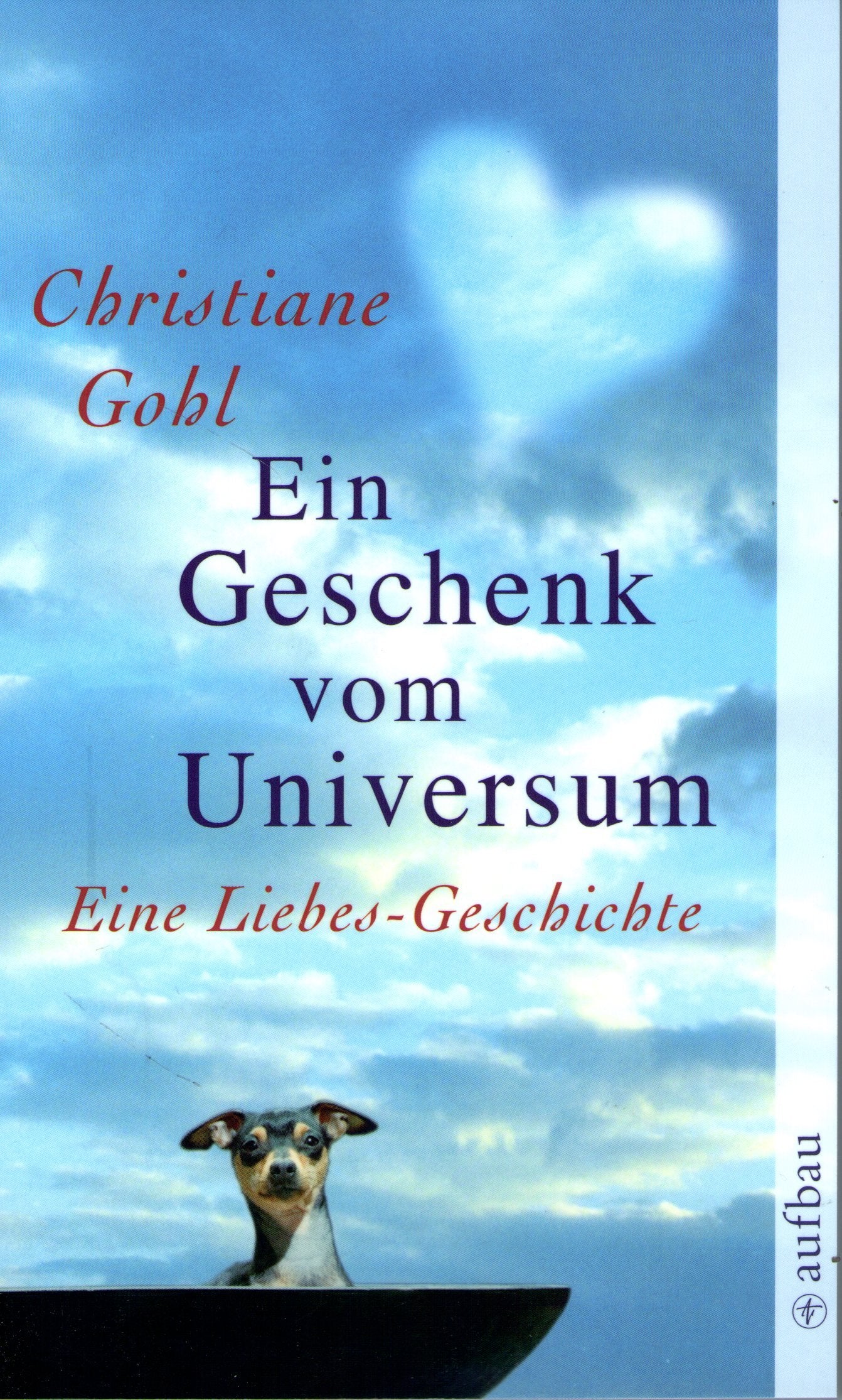 Ein Geschenk vom Universum: Eine Liebes-Geschichte Contemporary literature