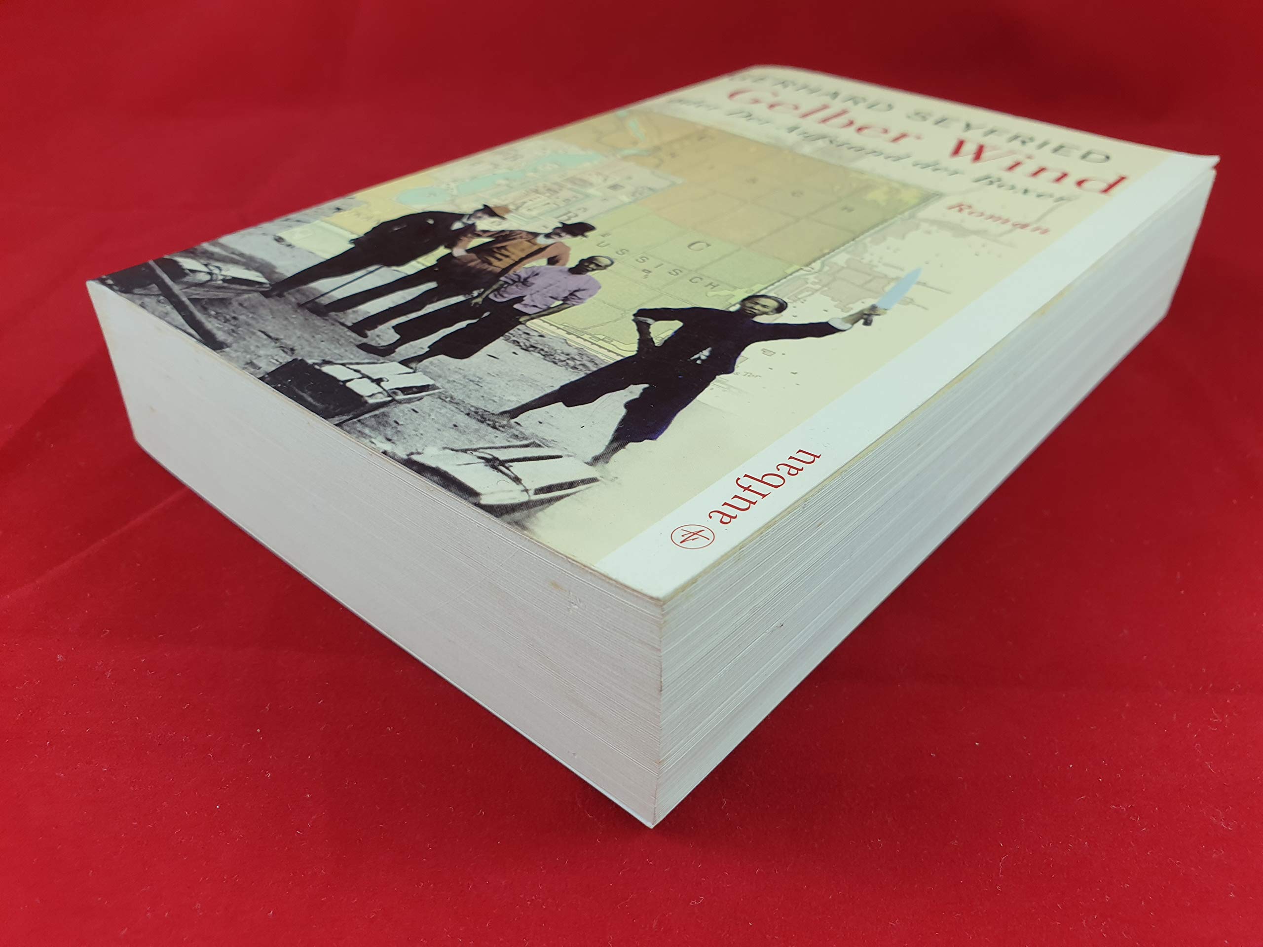 Gelber Wind oder Der Aufstand der Boxer: Roman Contemporary literature Books
