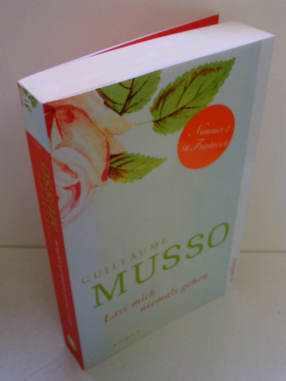 Lass mich niemals gehen: Roman Contemporary literature