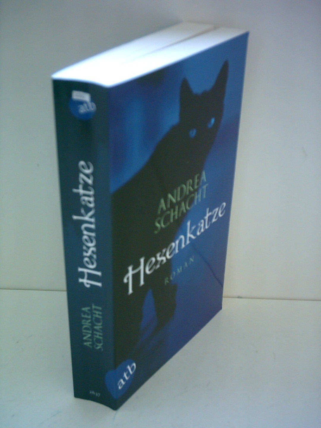 Hexenkatze Contemporary literature Books