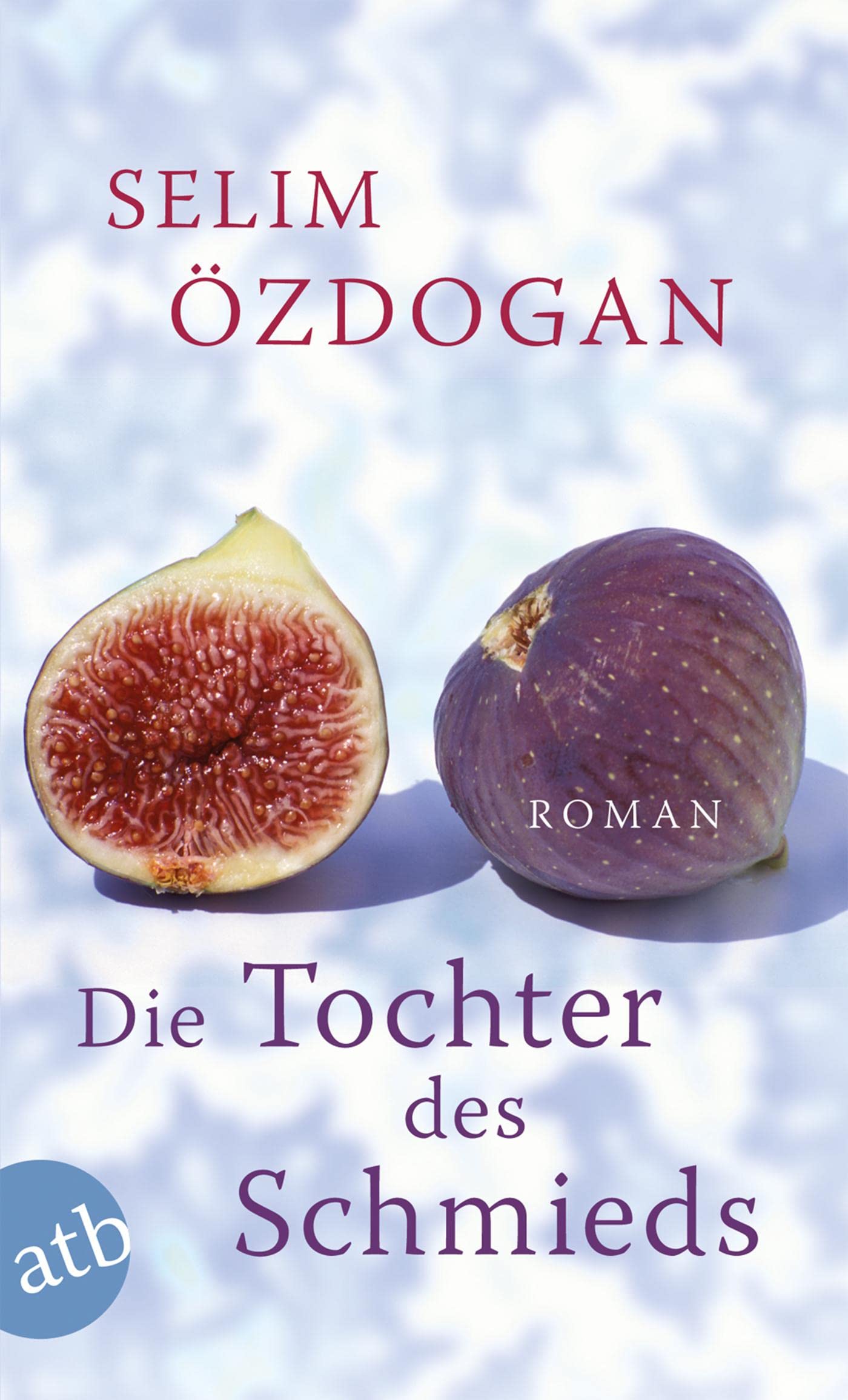 Die Tochter des Schmieds Contemporary literature