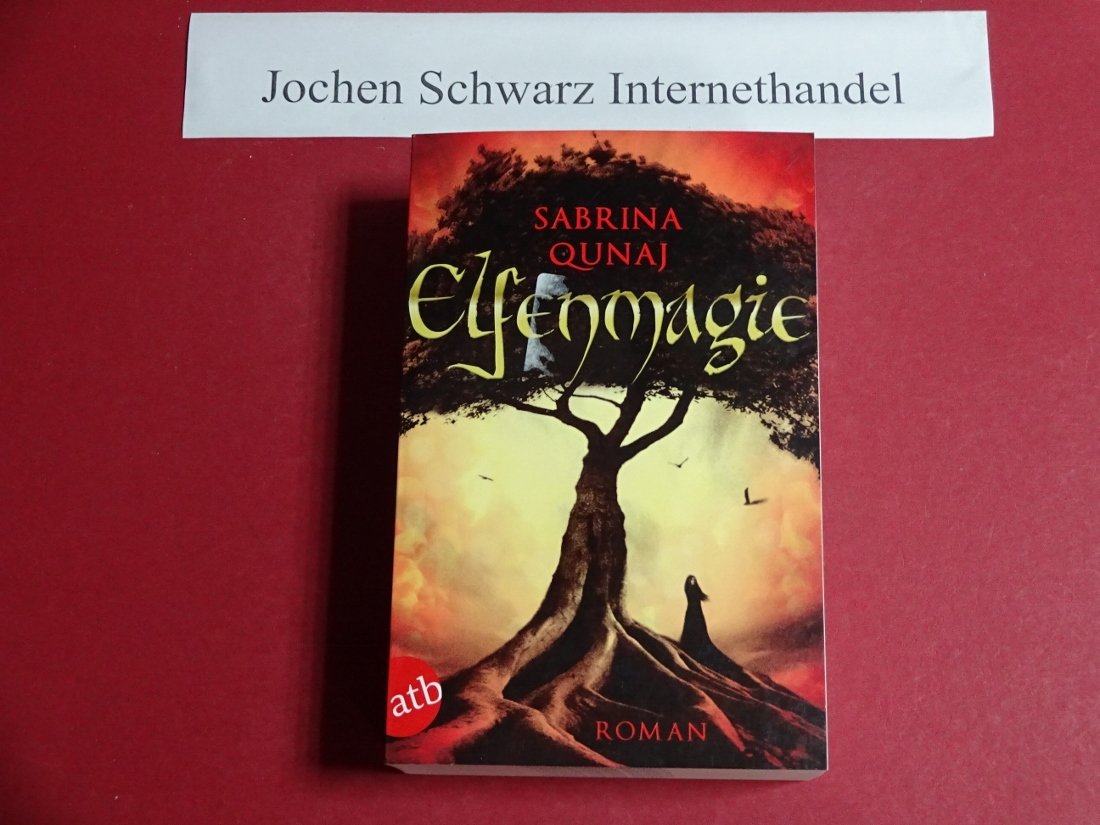 Elfenmagie Historical Fiction