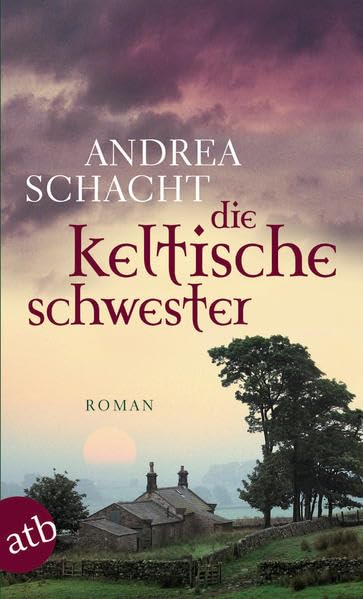 Die keltische Schwester: Roman Historical Fiction