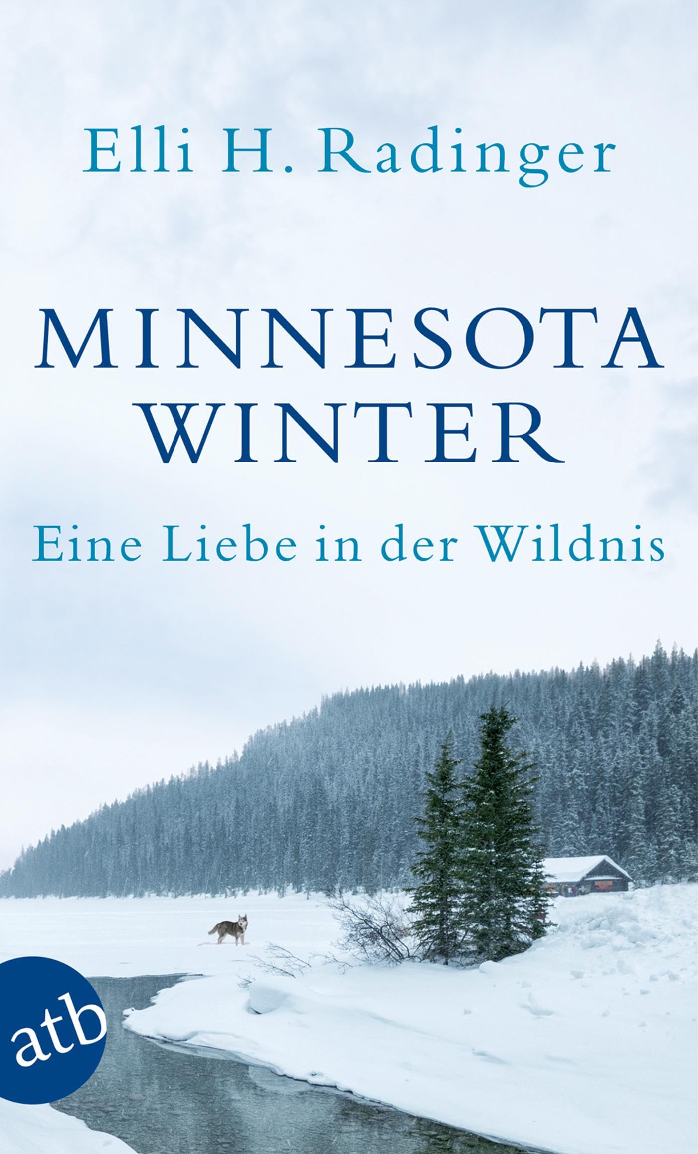 Minnesota Winter Contemporary literature Books