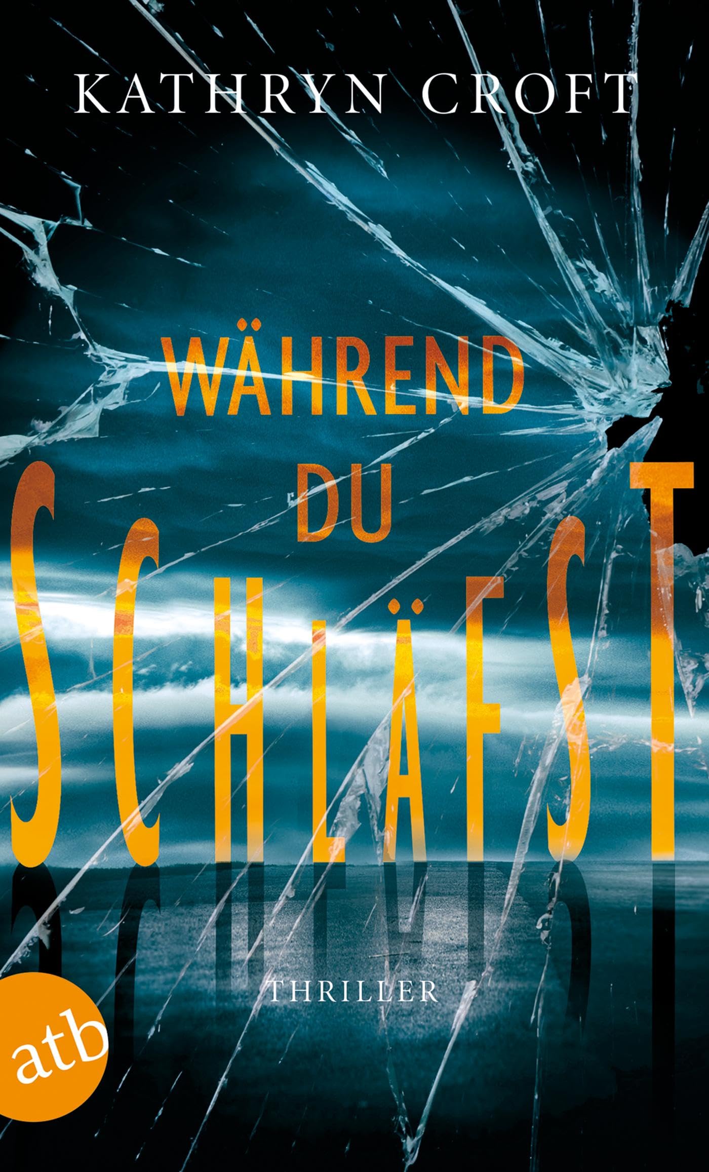 Während du schläfst Contemporary literature Books
