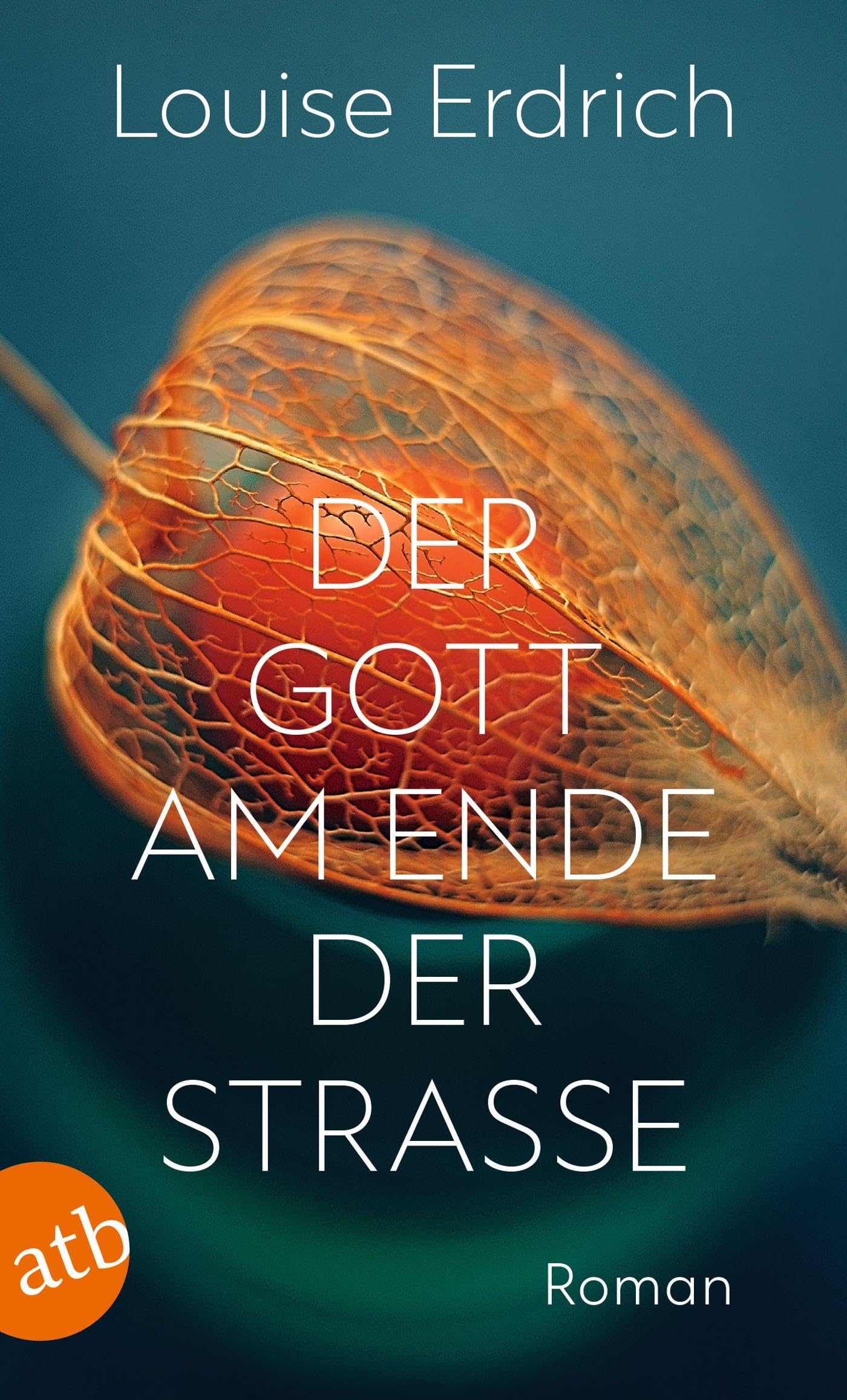 Der Gott am Ende der Straße: Roman Contemporary literature