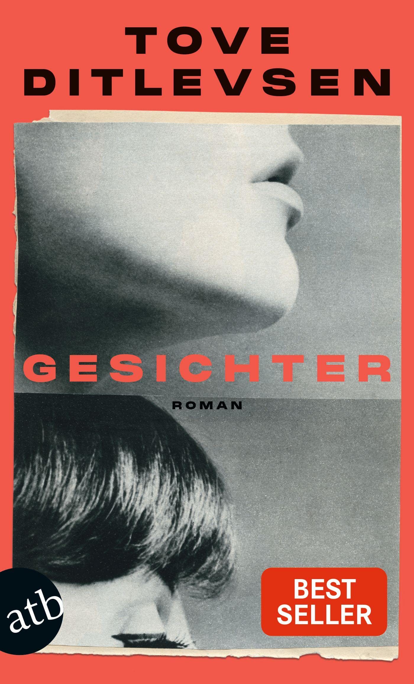 Gesichter Contemporary literature Books