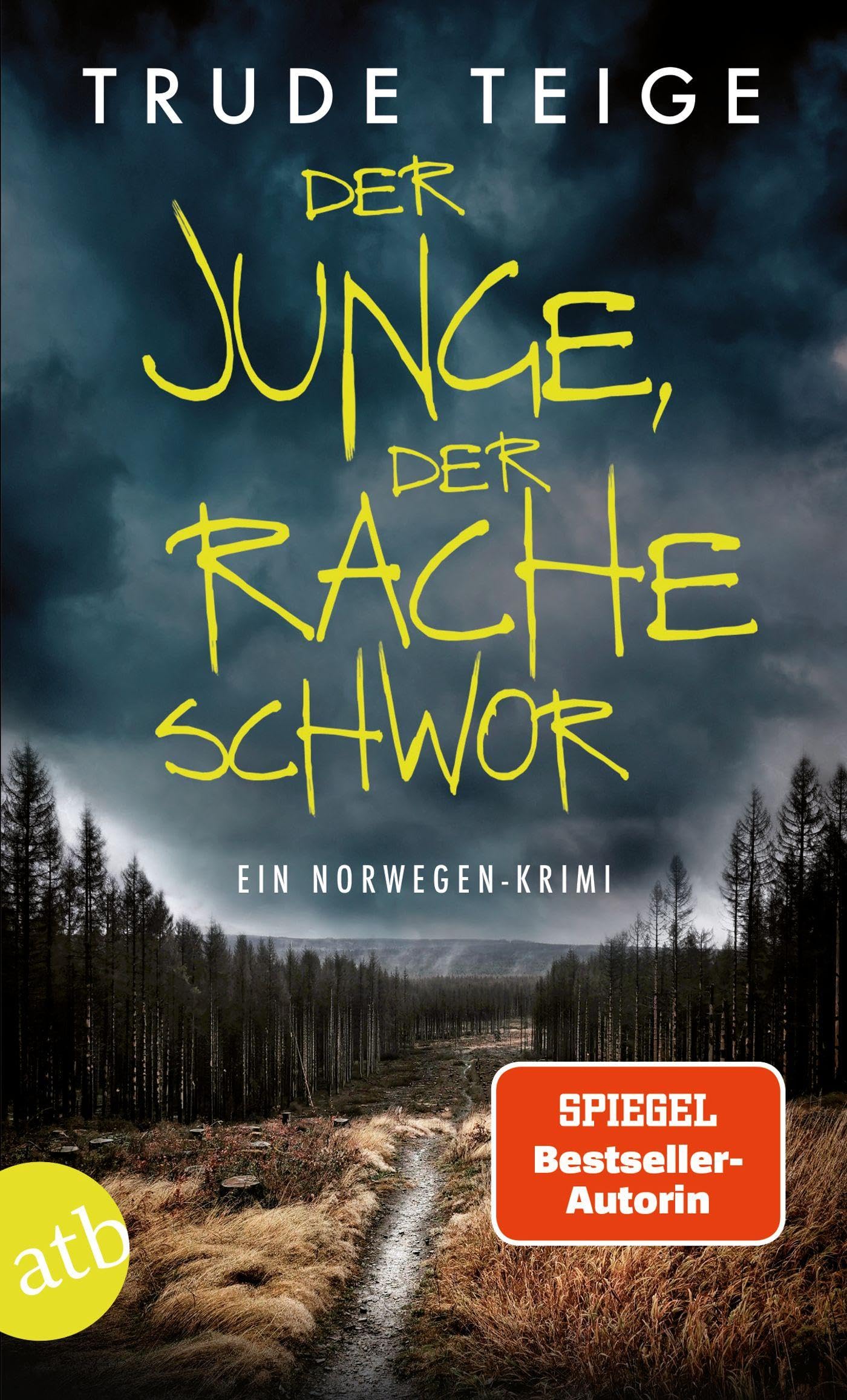 Der Junge, der Rache schwor: Ein Norwegen-Krimi (Kajsa Coren, Band 1) Contemporary literature