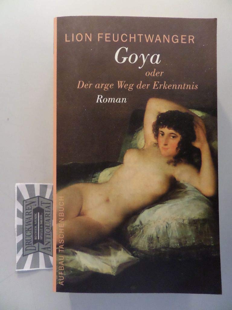 Goya oder Der arge Weg der Erkenntnis: Roman Contemporary literature