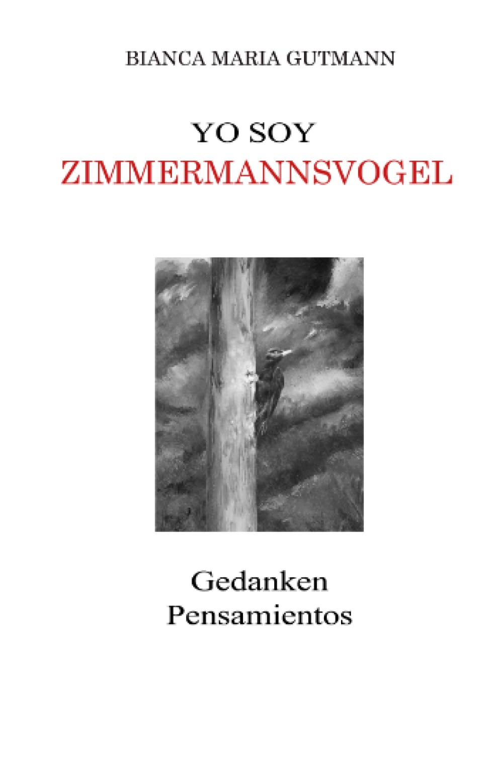 Yo Soy Zimmermannsvogel: »Der Zimmermannsvogel« bringt seine Gedanken zu Papier Philosophy