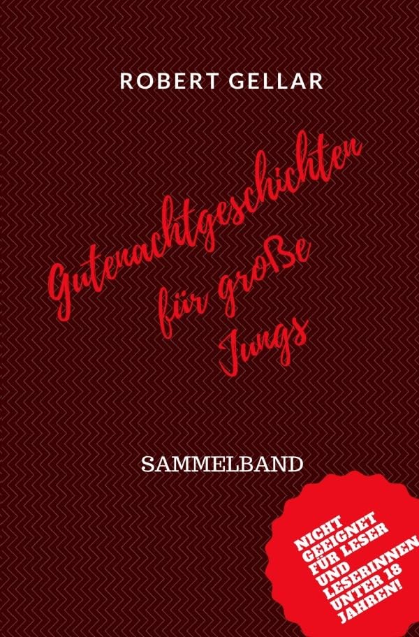 Gutenachtgeschichten für große Jungs Contemporary literature