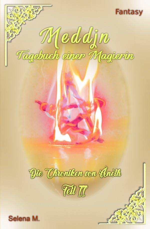 Die Chroniken von Aneth / Meddjn - Tagebuch einer Magierin Contemporary literature