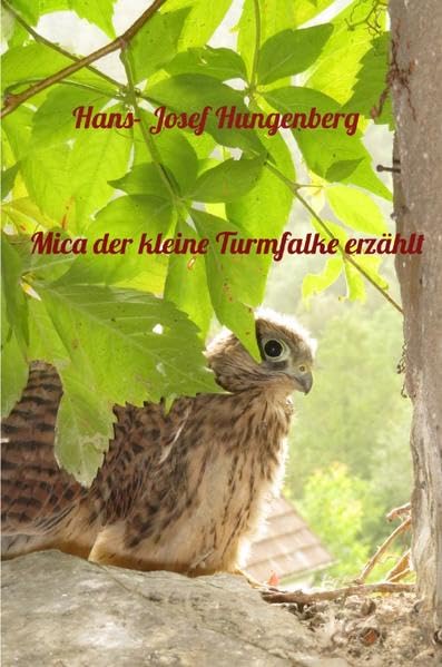 Mica der kleine Turmfalke erzählt Non-fiction