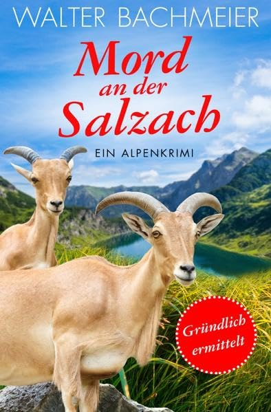 Inspektor Tina Gründlich / Mord an der Salzach: Gründlich ermittelt Contemporary literature