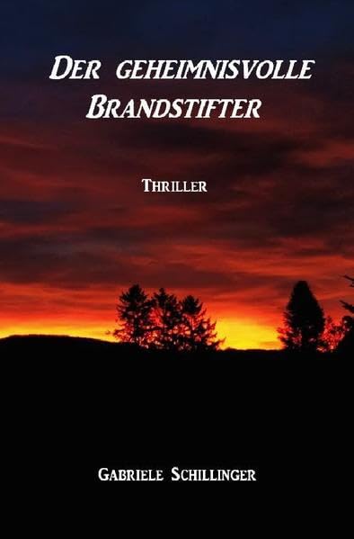 Der geheimnisvolle Brandstifter Action & Adventure