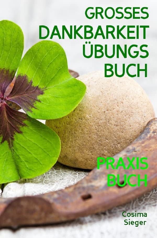 Dankbarkeit: DAS GROSSE DANKBARKEIT ÜBUNGSBUCH! Wie Sie mit täglichen Übungen für mehr Dankbarkeit in 30 Tagen Gelassenheit, Fülle, Glück und pure ... sein, Depressionen, Depression überwinden) Business, Finance & Career