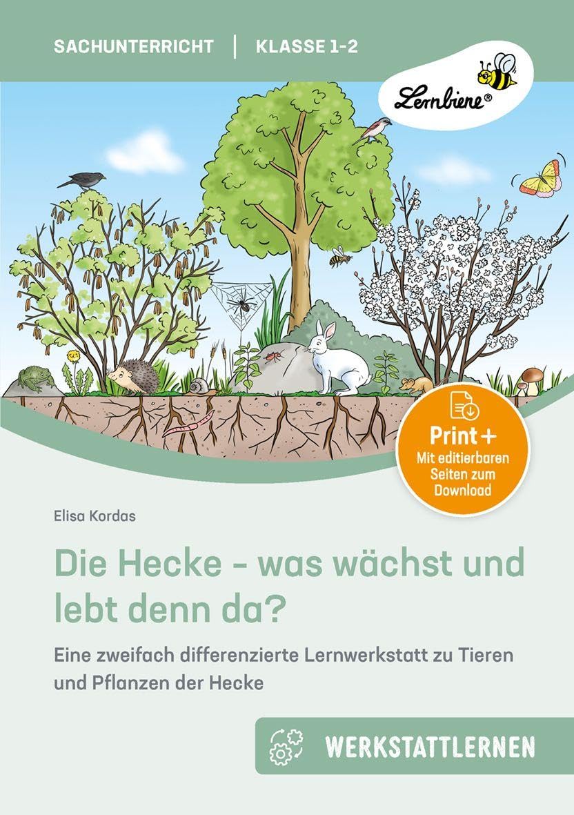 Die Hecke - was wächst und lebt denn da Professional & Reference Books