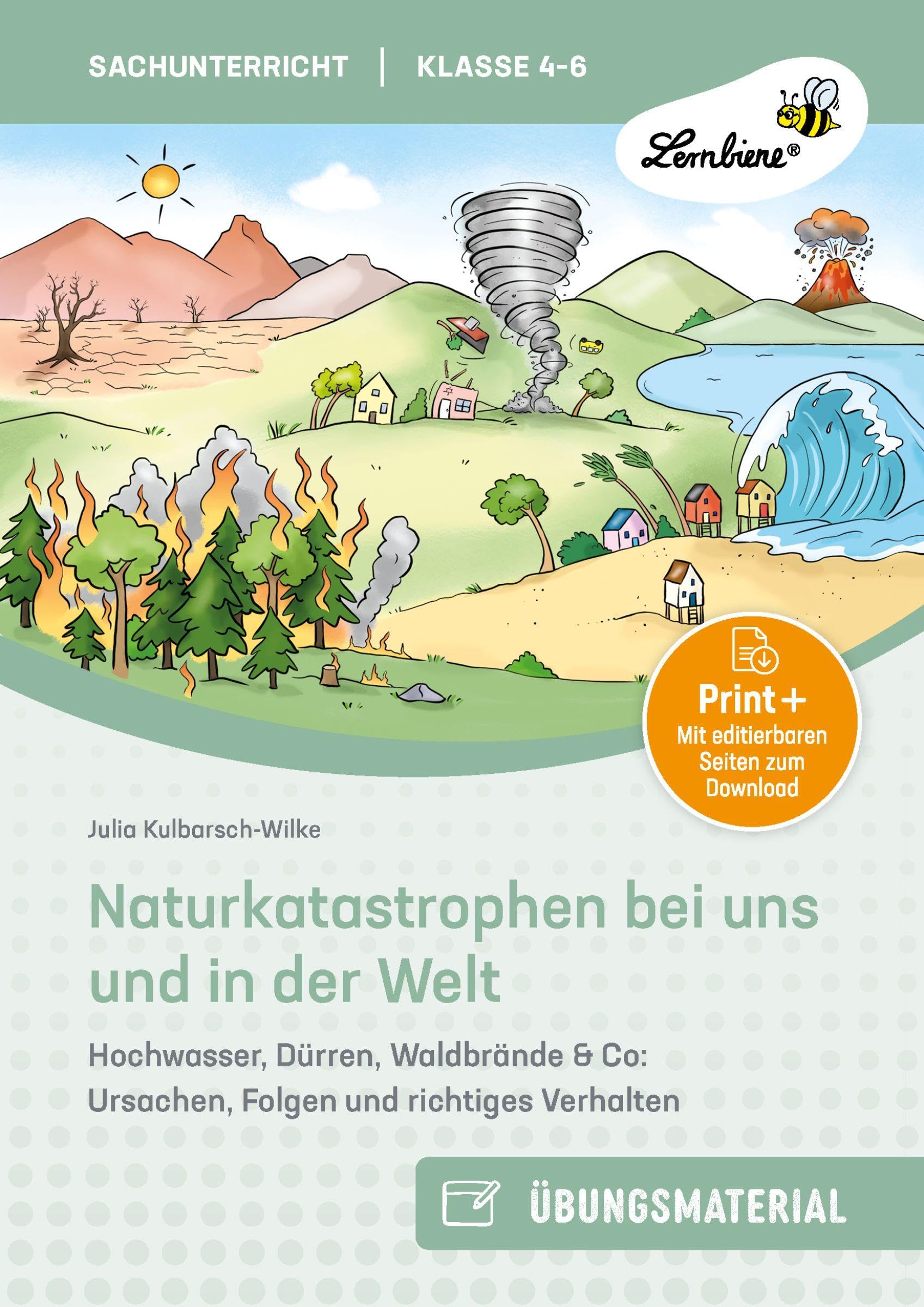 Naturkatastrophen bei uns und in der Welt Professional & Reference Books