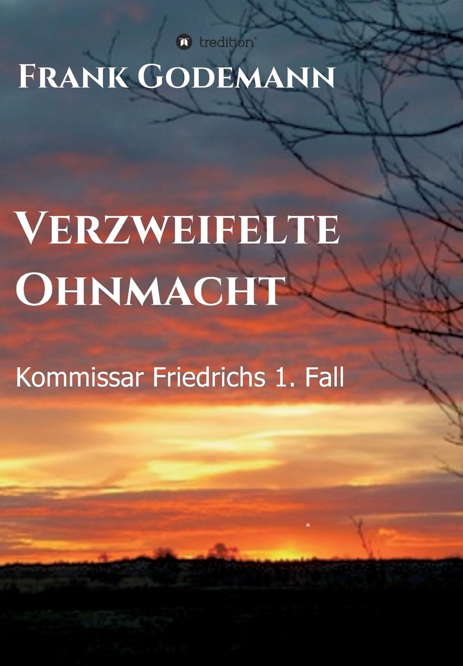 Verzweifelte Ohnmacht: Kommissar Friedrichs 1. Fall Action & Adventure