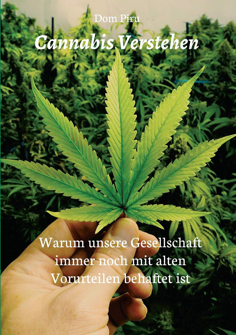 Cannabis Verstehen: Warum unsere Gesellschaft immer noch mit alten Vorurteilen behaftet ist Medicine
