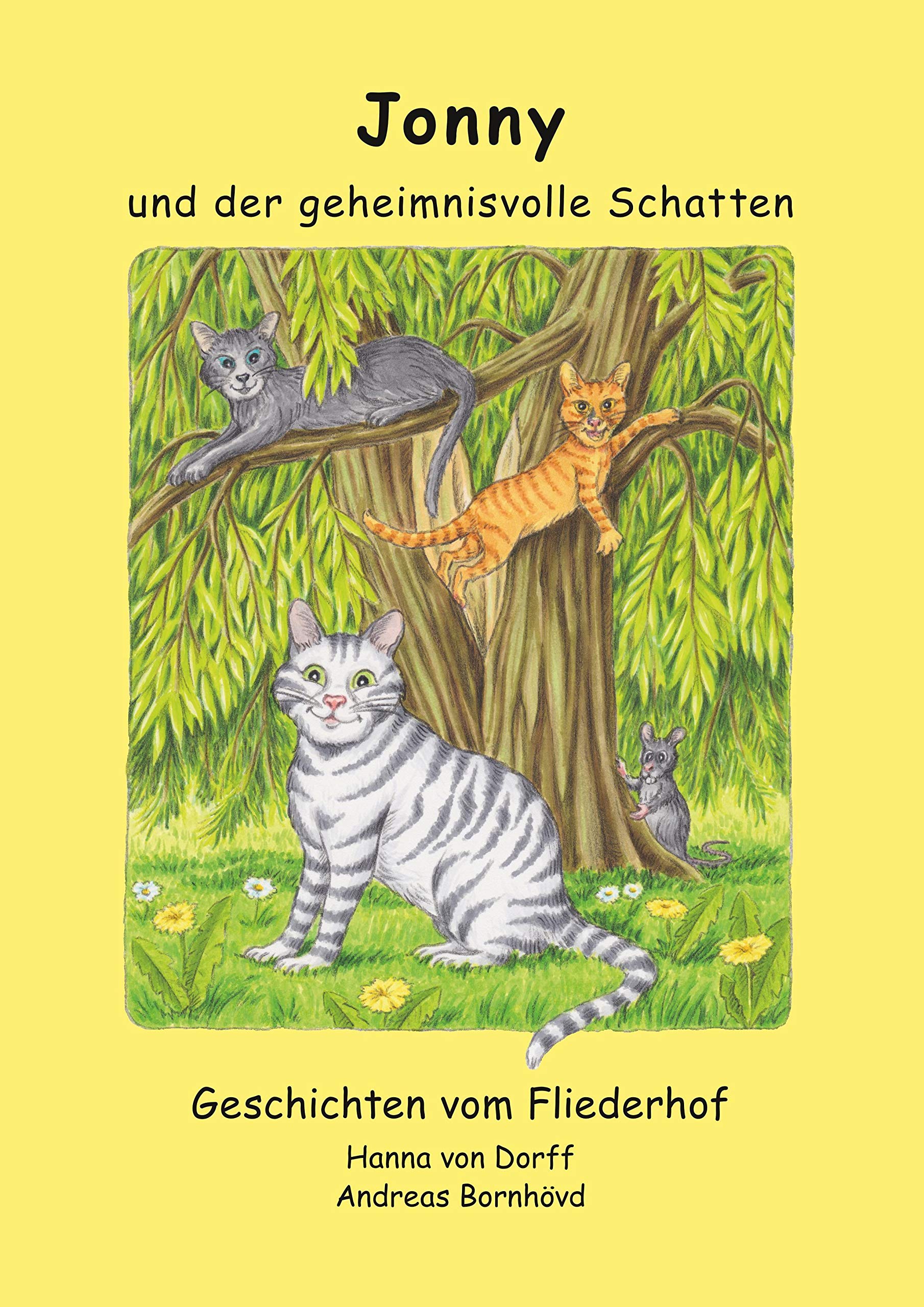 Jonny und der geheimnisvolle Schatten Novels & Short Stories