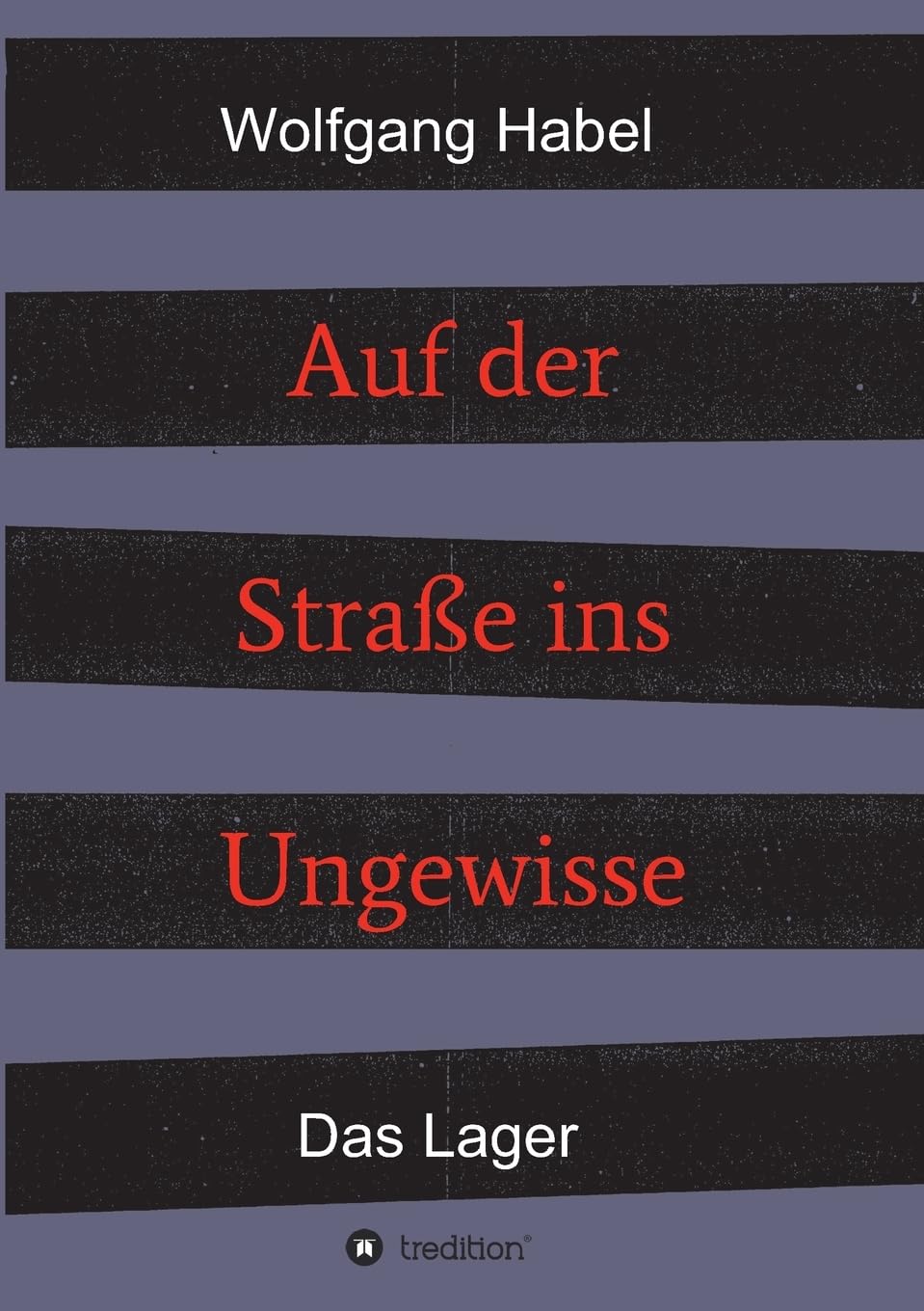 Auf der Straße ins Ungewisse: Das Lager (2 Bände: Auf der Straße ins Ungewisse) Contemporary literature