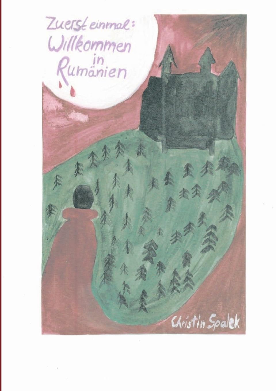 Zuerst einmal: Willkommen in Rumänien Contemporary literature