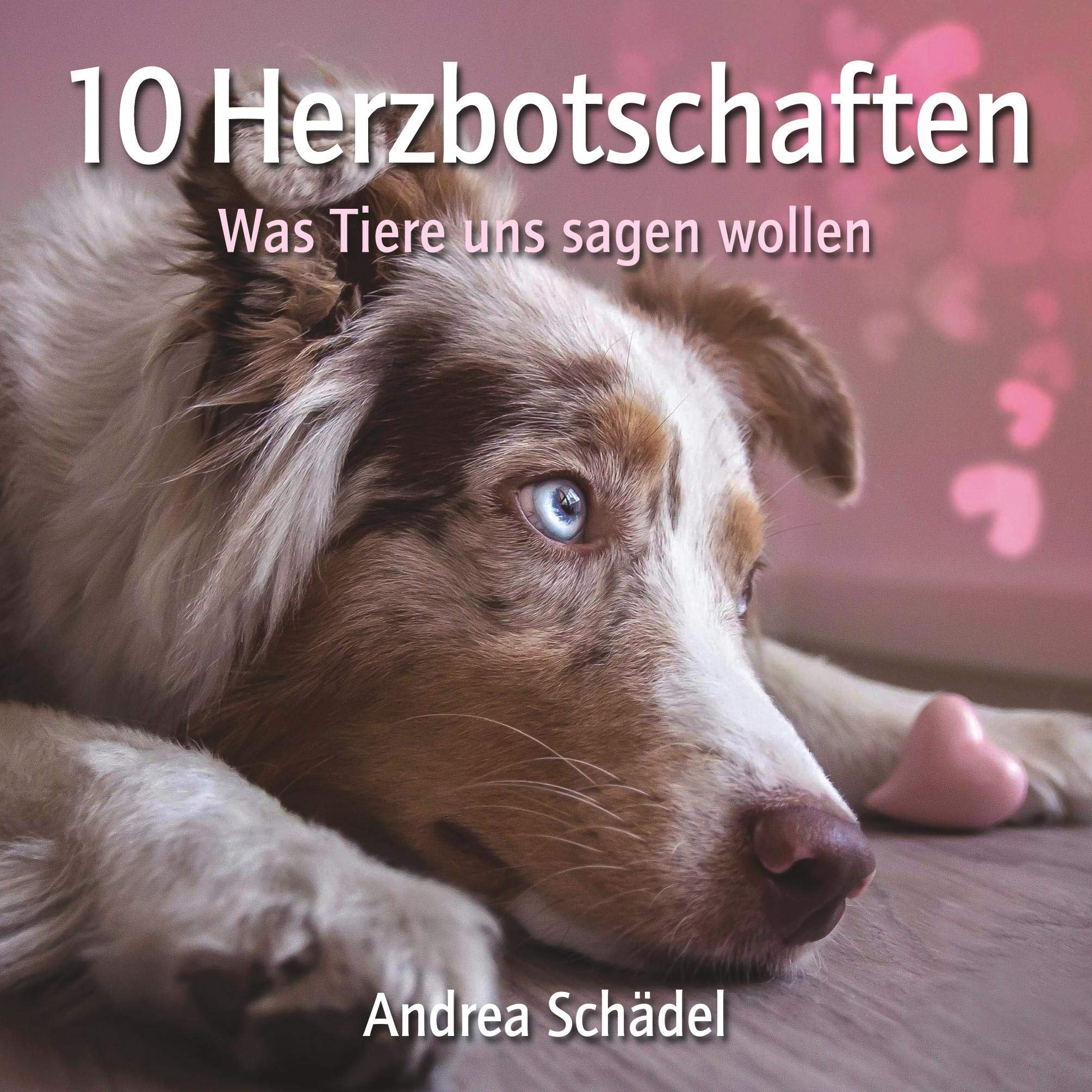 Product Image: 10 Herzbotschaften