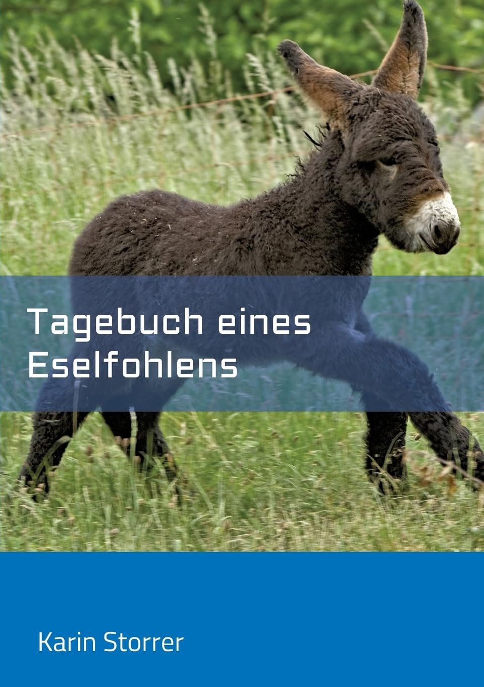 Tagebuch eines Eselfohlens Novels & Short Stories
