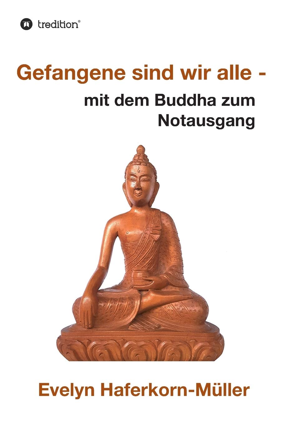 Gefangene sind wir alle book