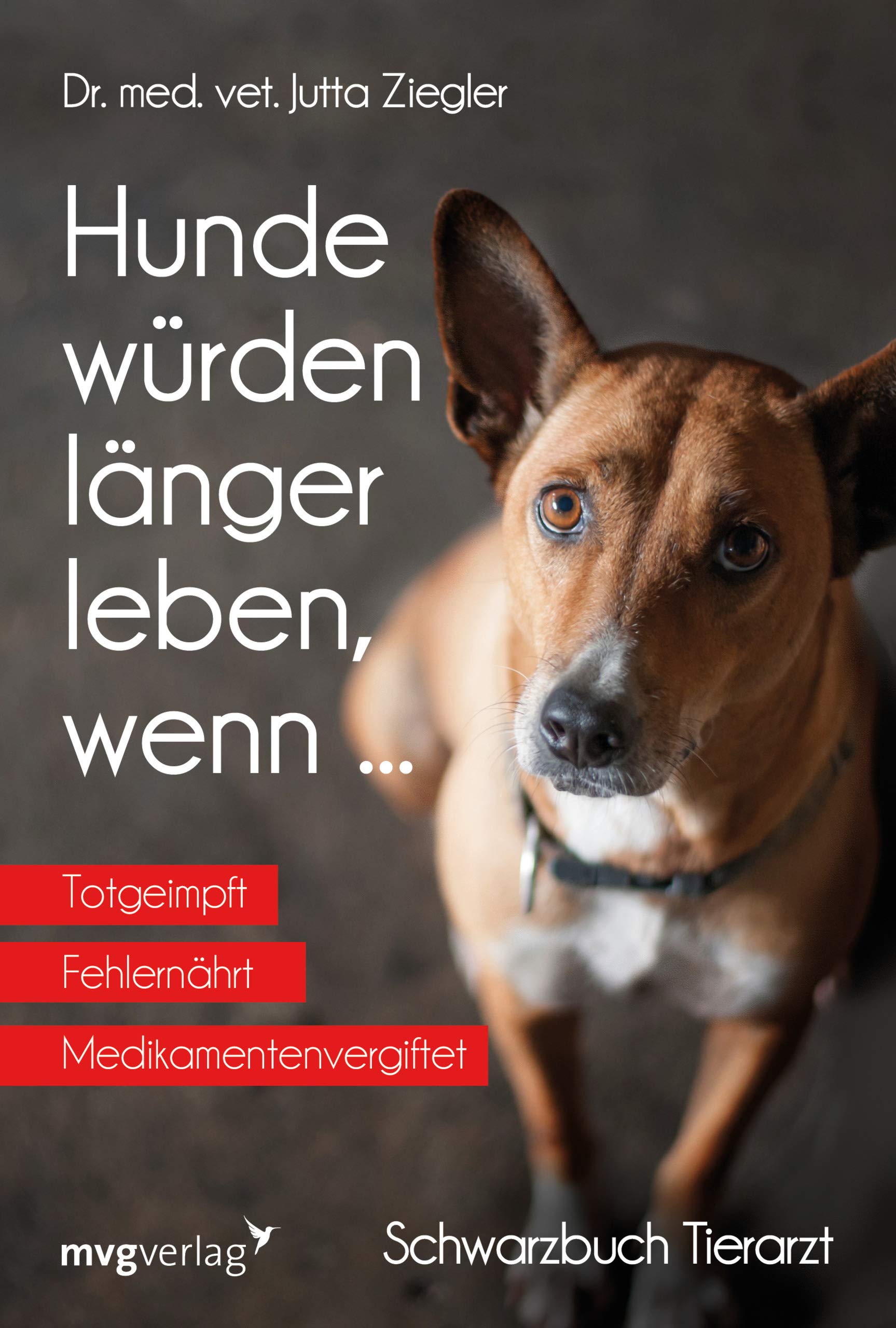 Hunde würden länger leben, wenn ... Parents & Children