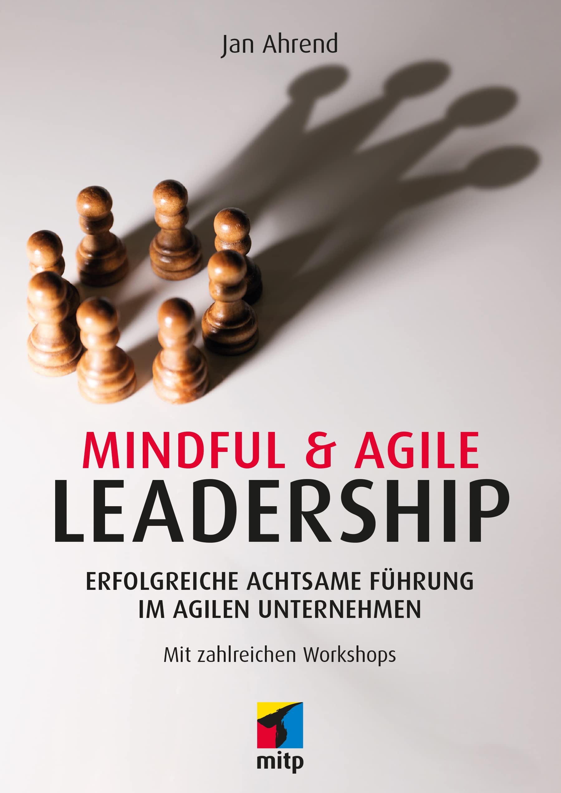Mindful & Agile Leadership Law Books