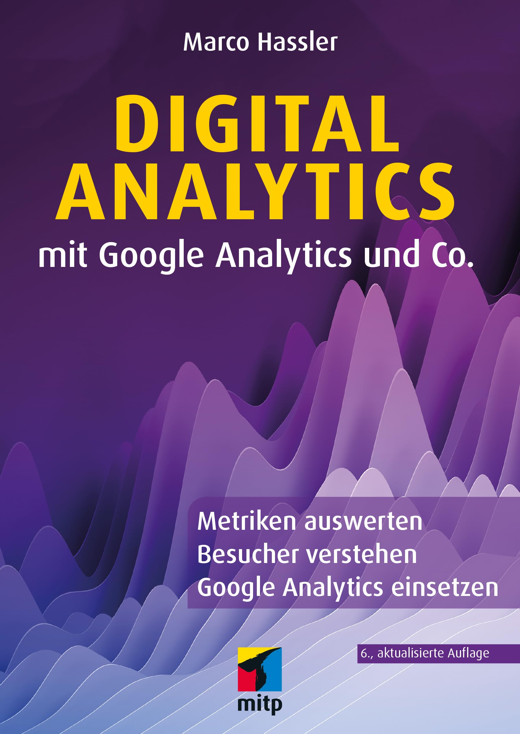 Digital Analytics mit Google Analytics und Co. Business, Finance & Career